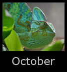 10october.jpg