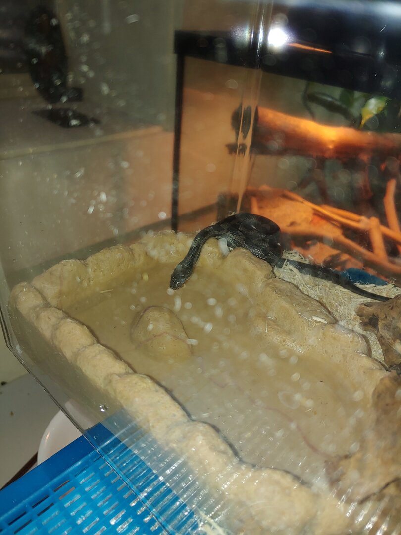 1201211459.jpg
