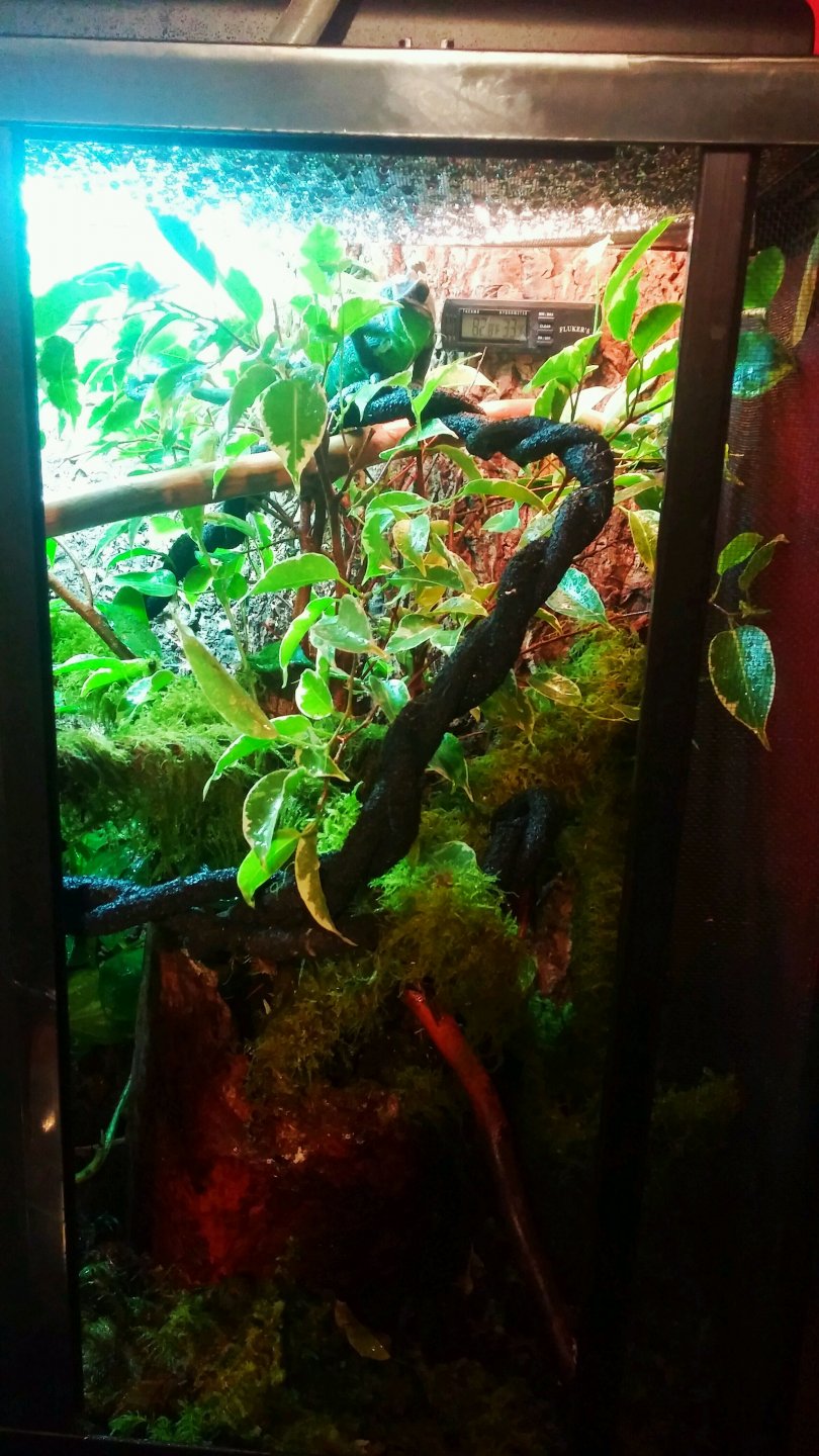 1205151938-2.jpg