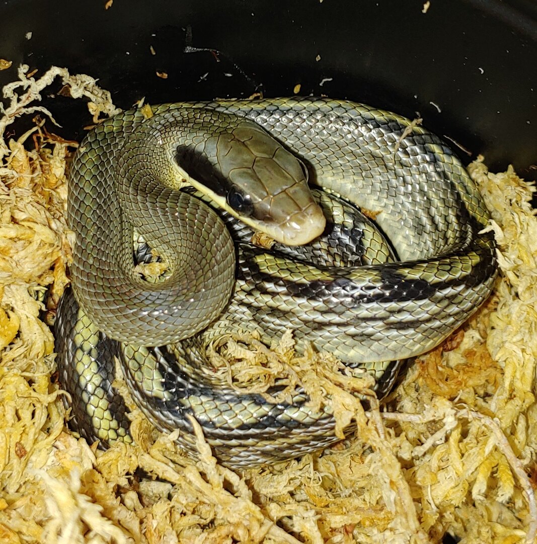 1219211346c~2.jpg