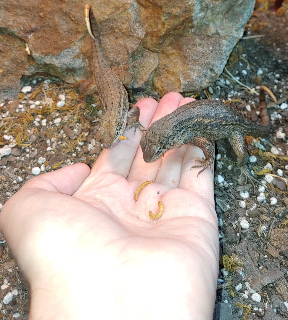 1229201103c~2.jpg