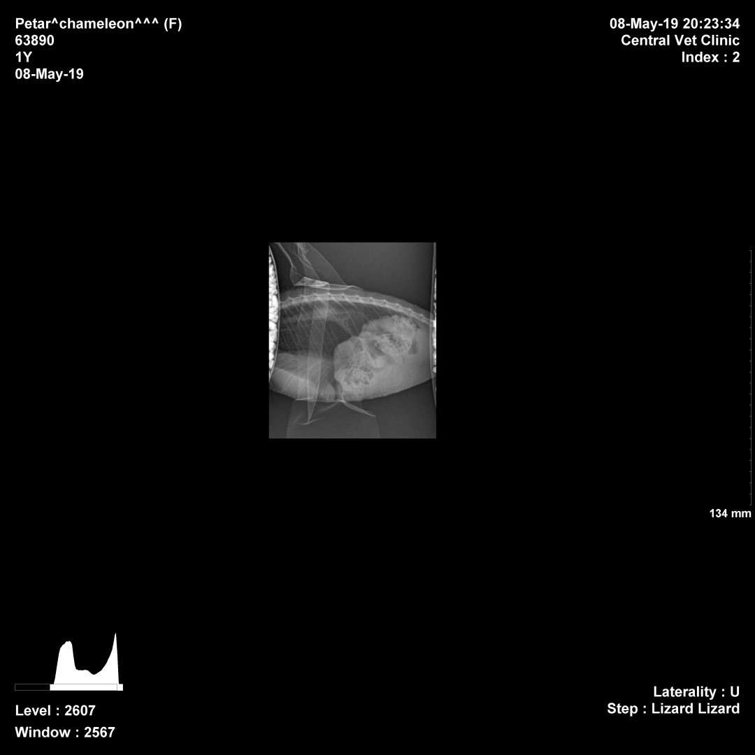 231556