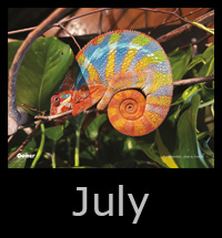 12july.jpg