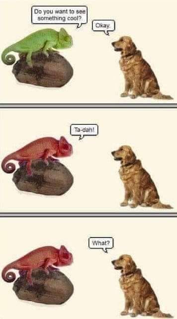 136178447_10157924646099786_5310664681661522682_n.jpg
