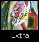 14extra.jpg