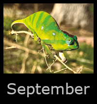 14septemeber.jpg