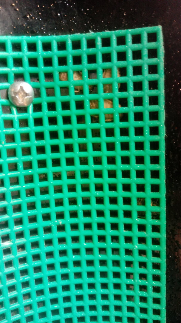 15910197644061940160920.jpg