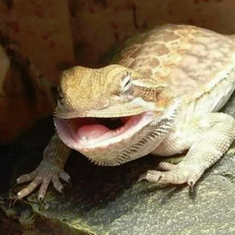 1599568377374.png