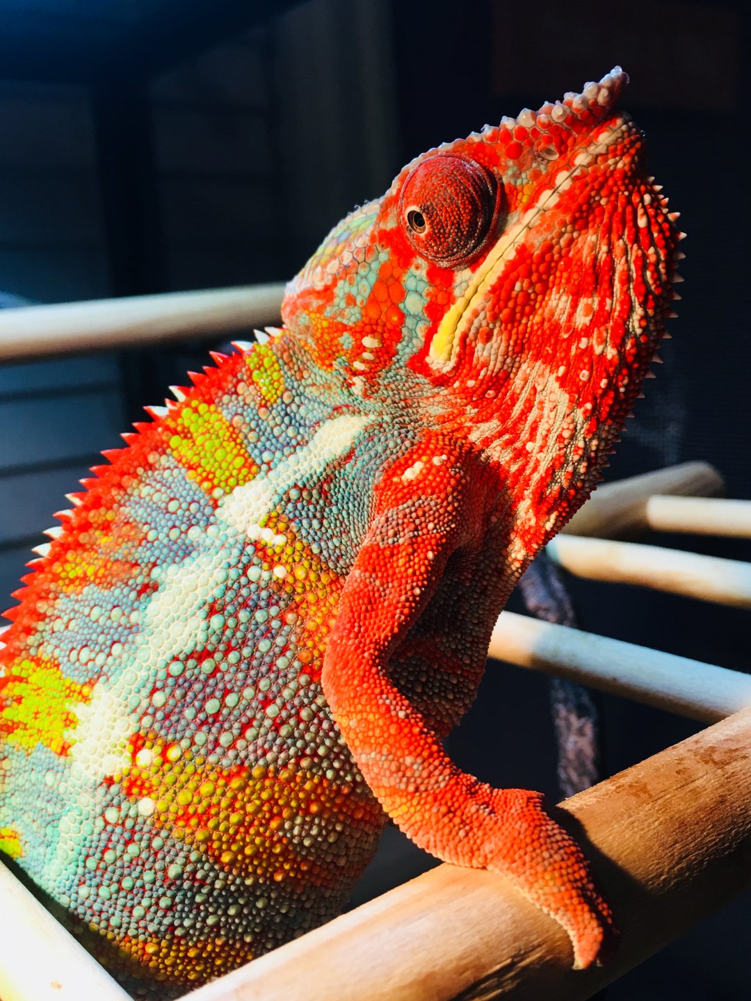 15C1F68D-73D6-45BF-B05A-7E564F520C15.jpeg