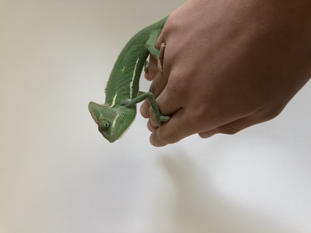 1602206906844.png