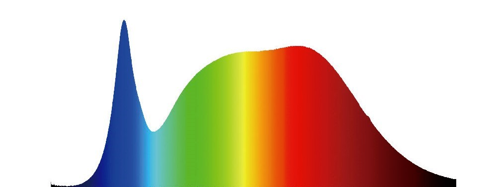 1625282572819.png