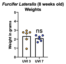 1630463816472.png