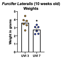 1630463821403.png