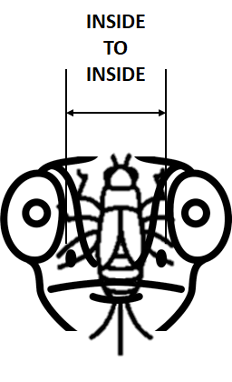1639083399728.png