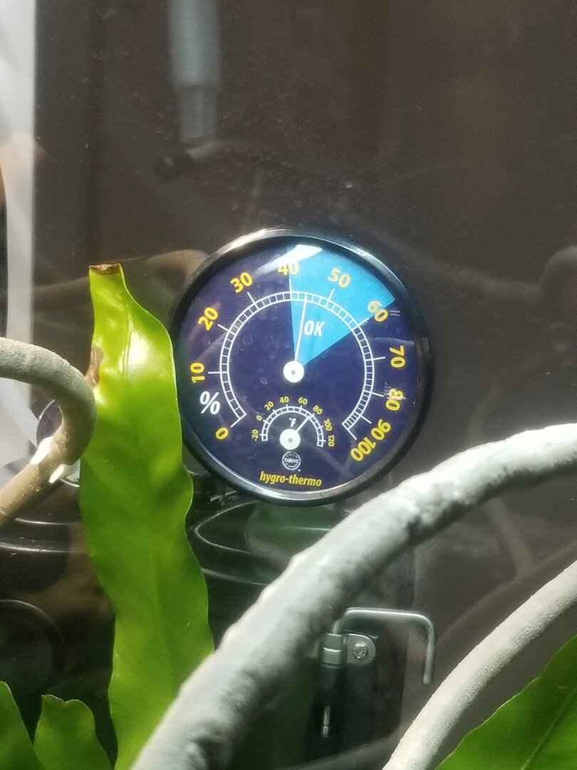 16497127594315251590098002849888.jpg