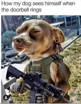 1649732543069.png