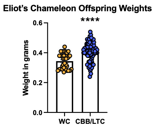 1671802884949.png