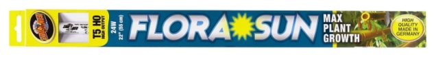 1675204788829.png