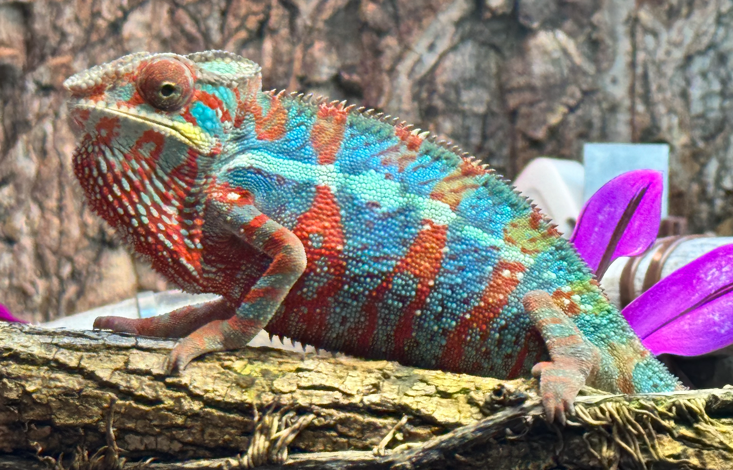 1704492295990.png