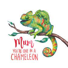 Mum in a Chameleon - Chameleon Greeting Card - Odd Bulls & Friends