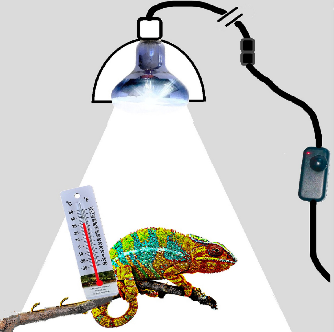 1750821887184.png