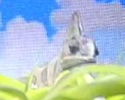 1751059967254.png