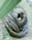 1753500145405.png