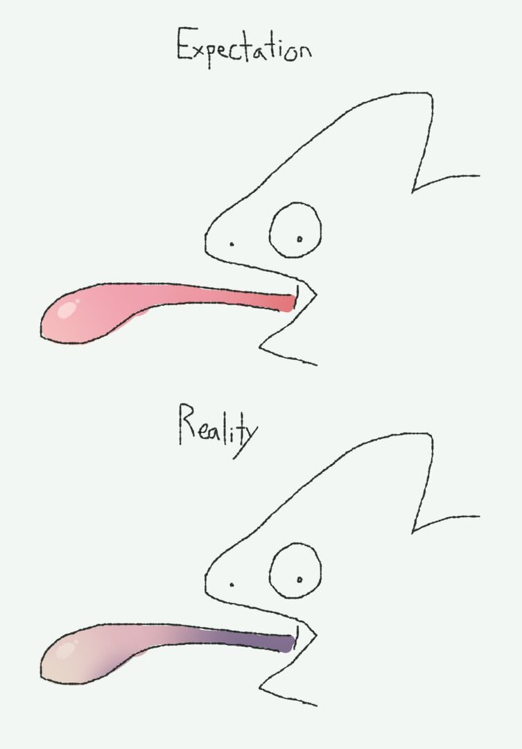 1755761817657.jpeg