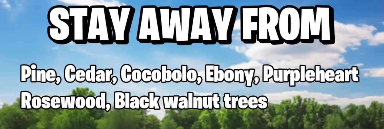 1755952087362.png
