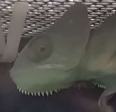 1756158296929.png