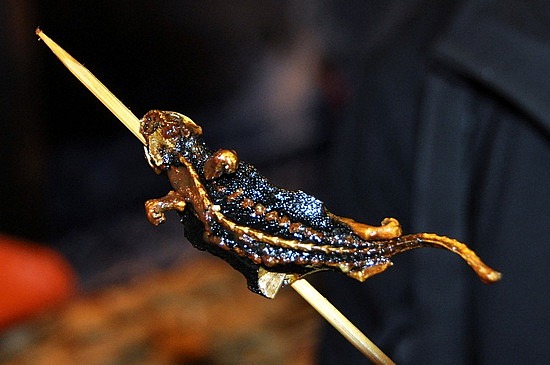 1_1271844762_fried-lizard.jpg