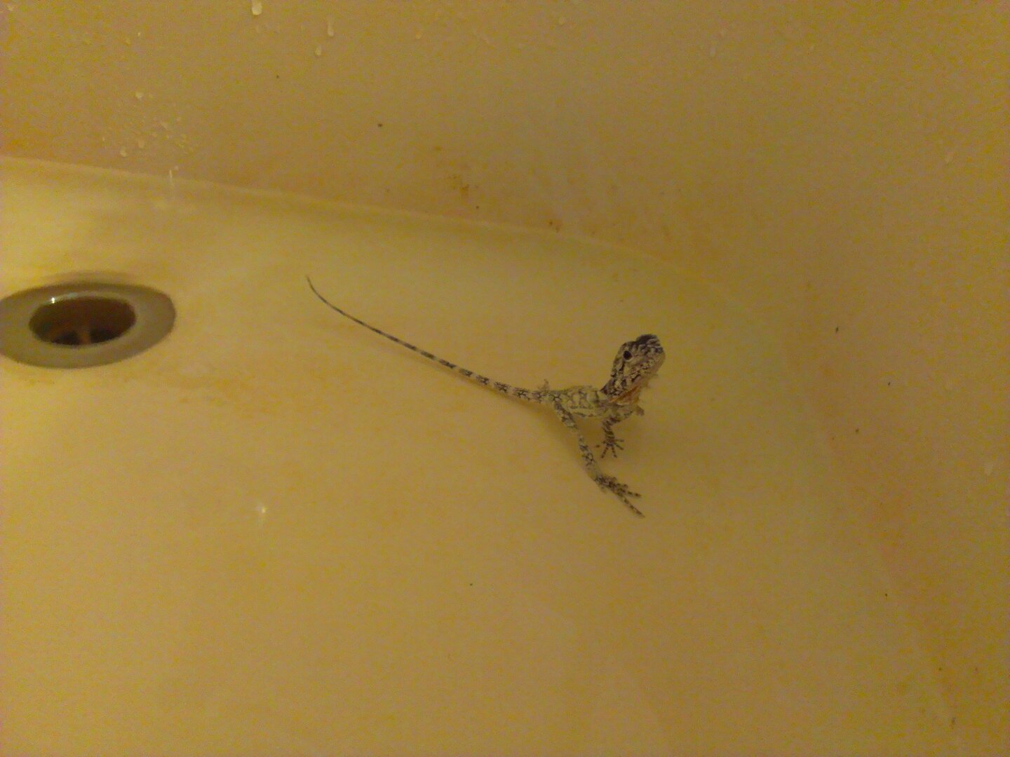 2013-07-19 08.29.32.jpg
