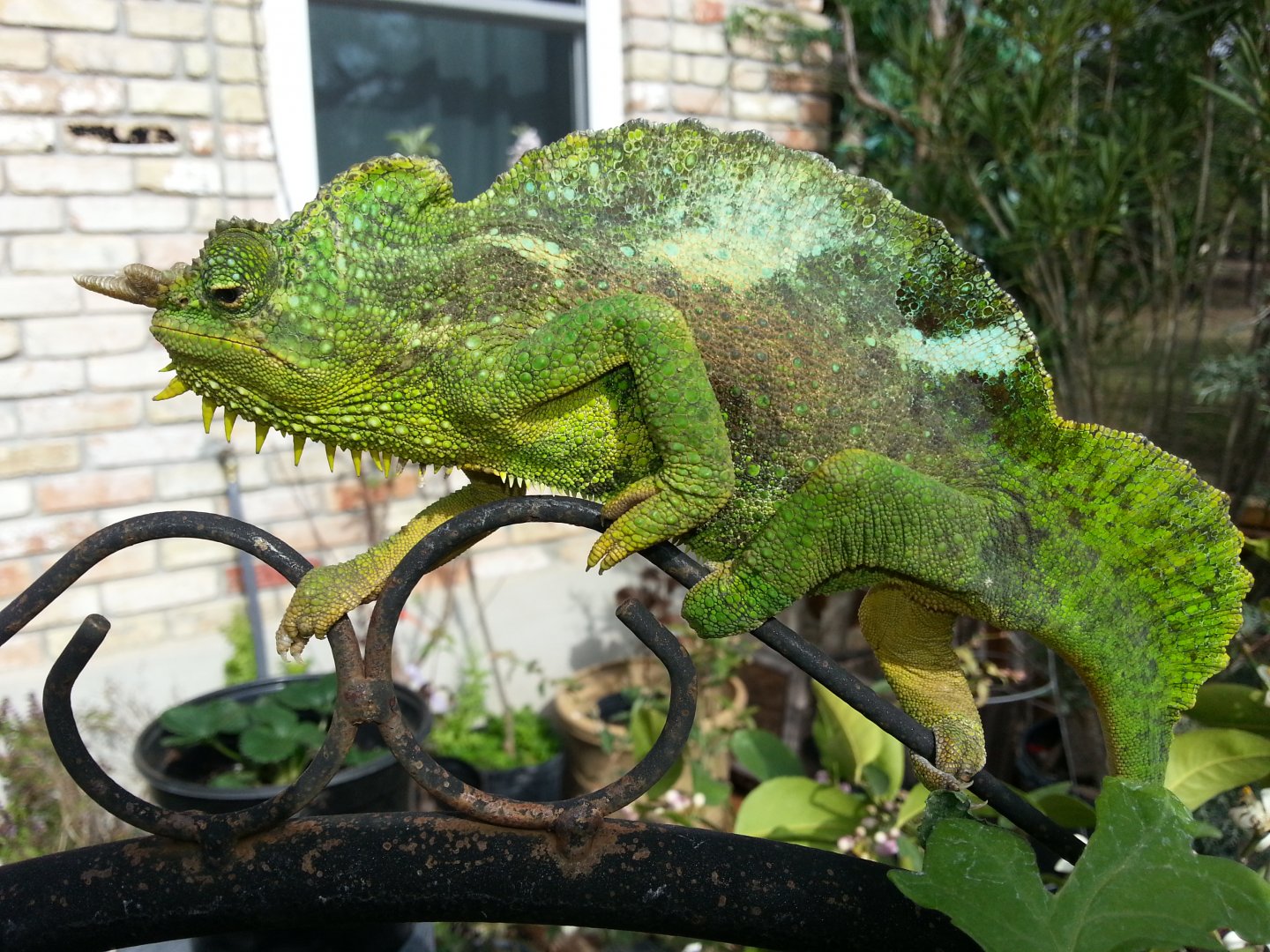 20150221_101840.jpg