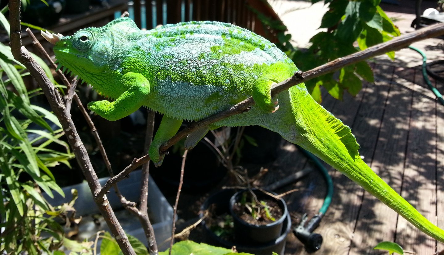 20150811_150322.jpg