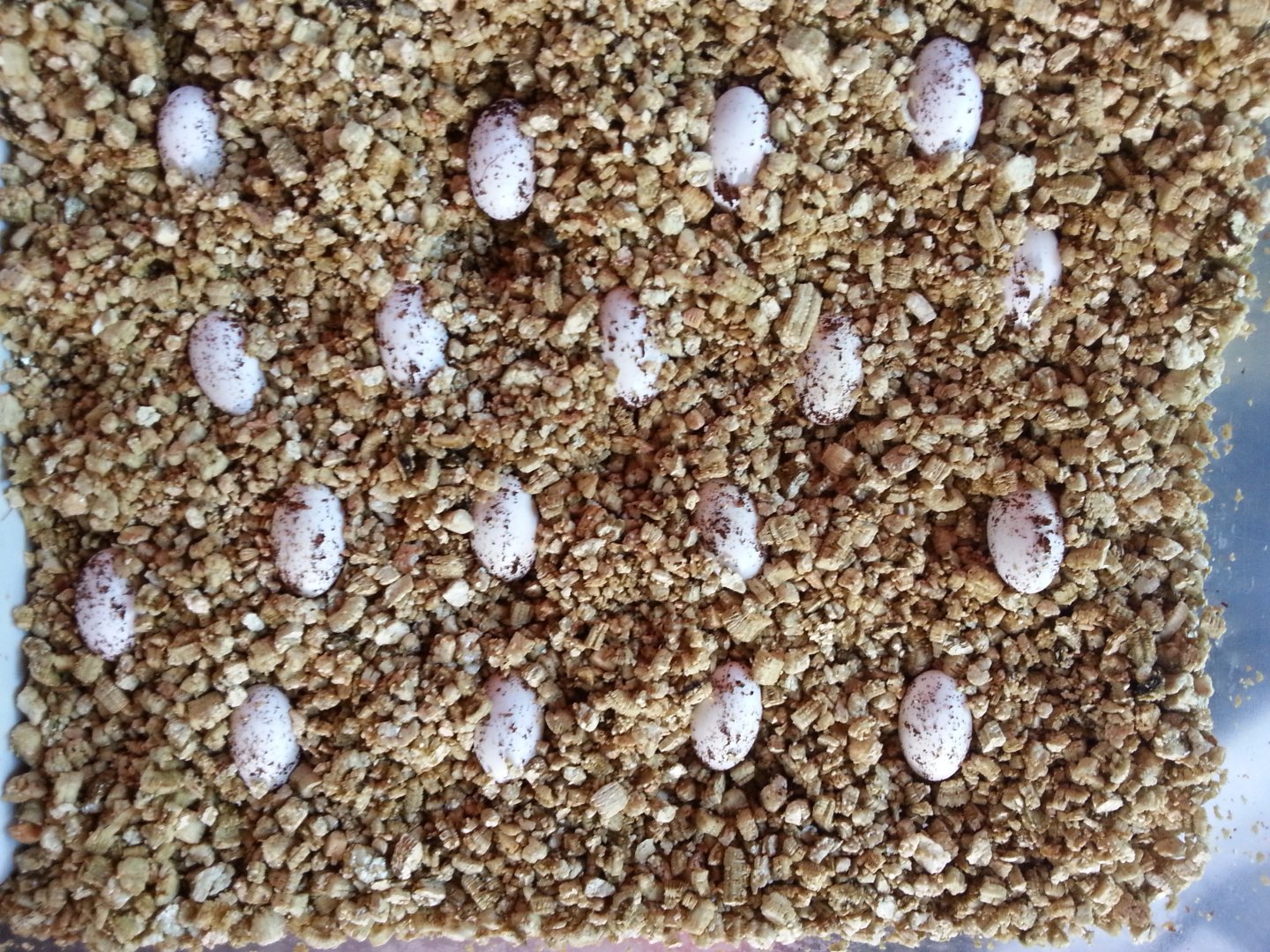 20150823_163602.jpg