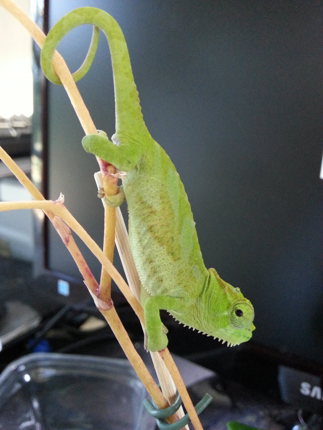 20151011_085914.jpg