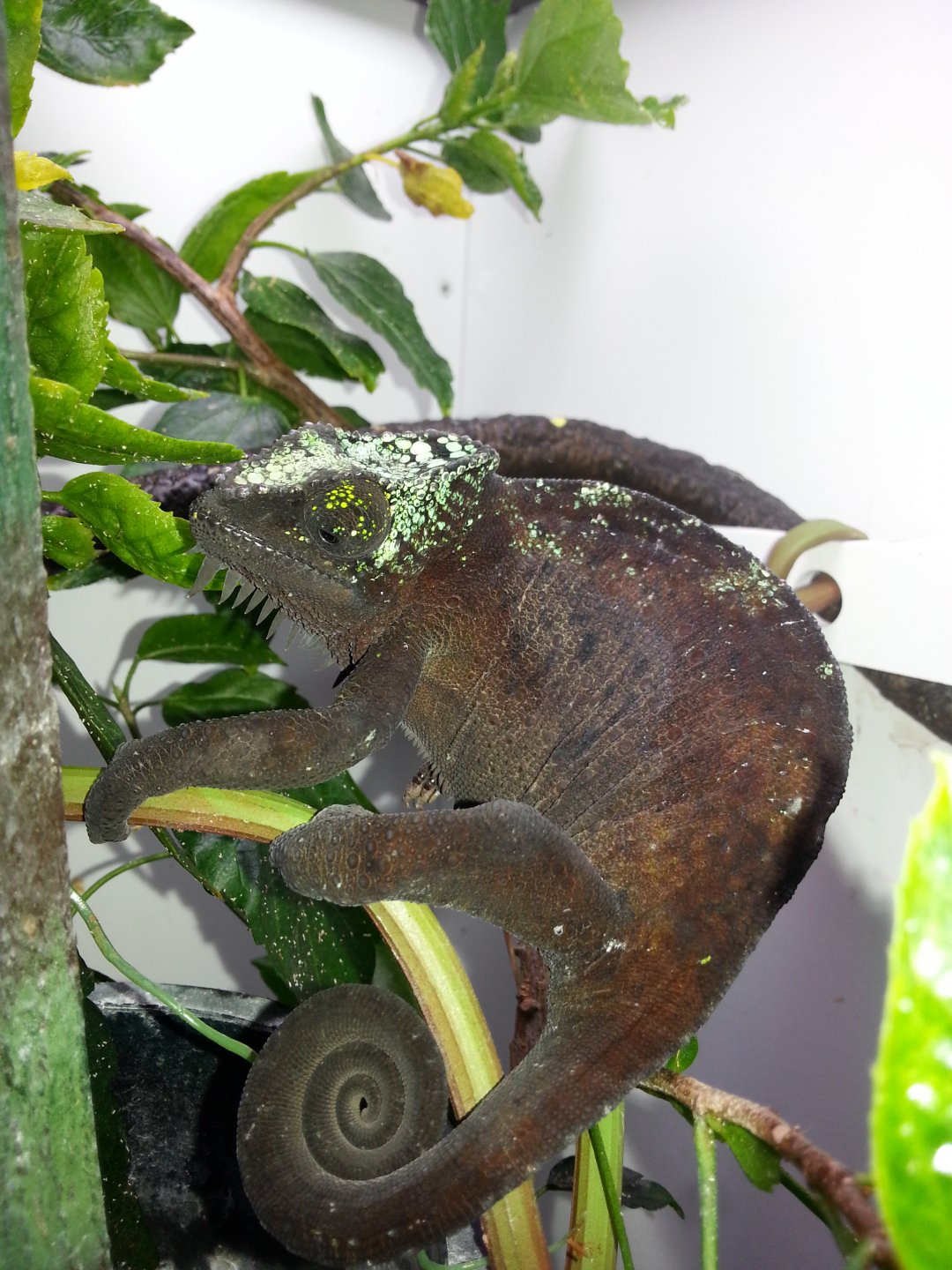20151221_153550.jpg