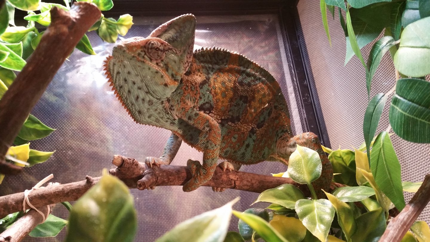 20151225_142516.jpg