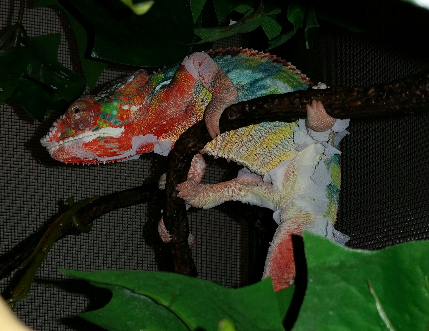 20151230_171940-1.jpg