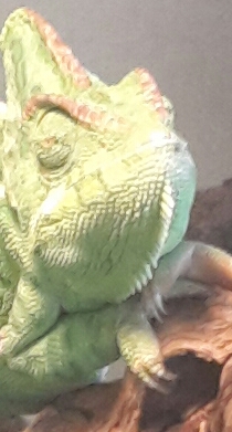 2016-04-07 10.57.13.jpg