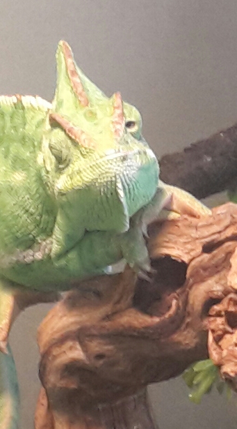 2016-04-07 10.58.10.jpg