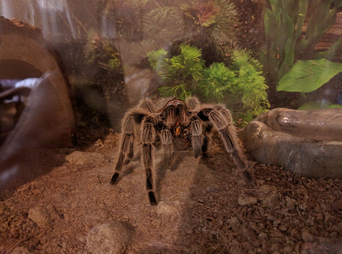 2016-06-13 17.01.54.jpg