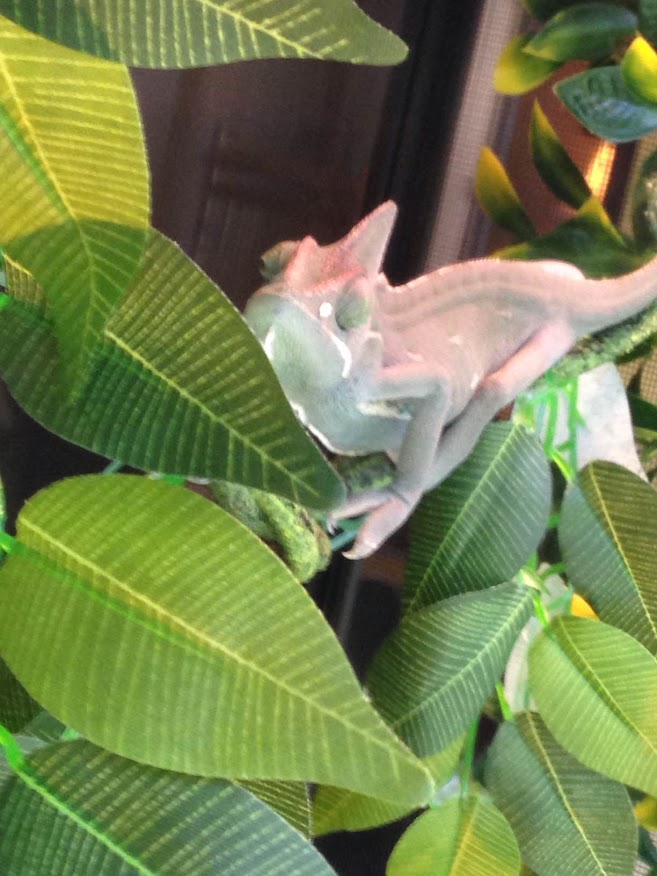 2016-07-07.jpg