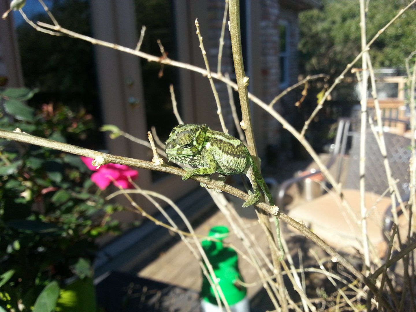 20160118_145224.jpg