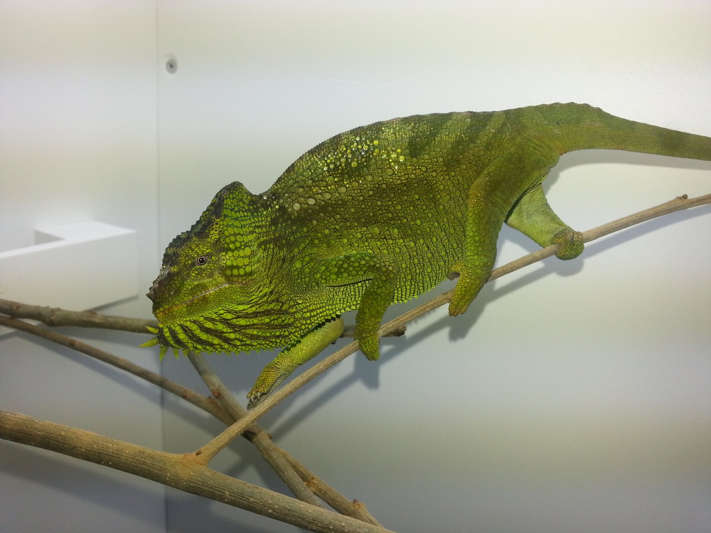 20160130_123156.jpg