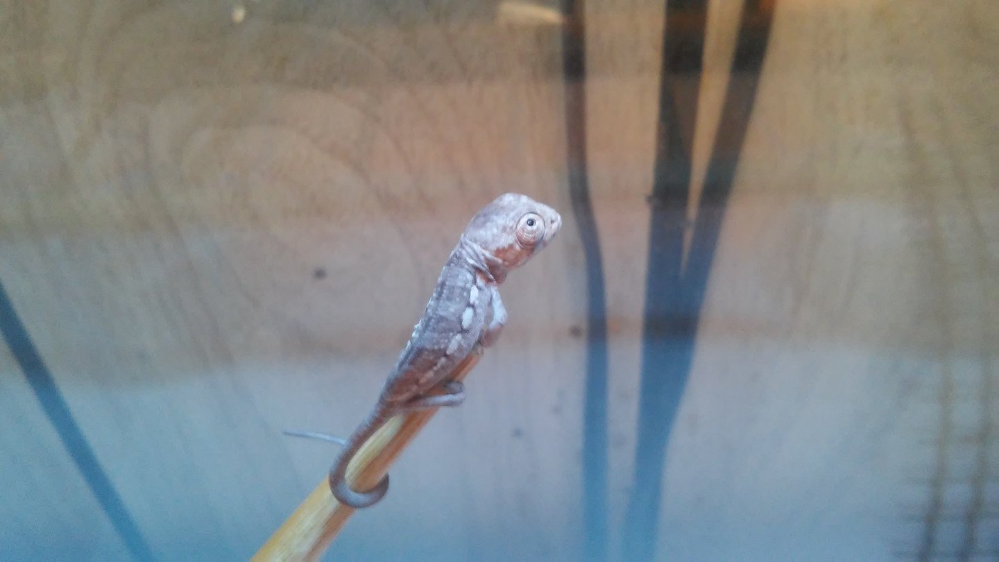 20160130_141845.jpg