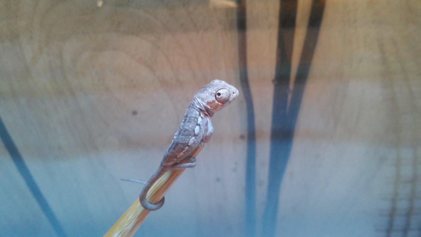 20160130_141847.jpg