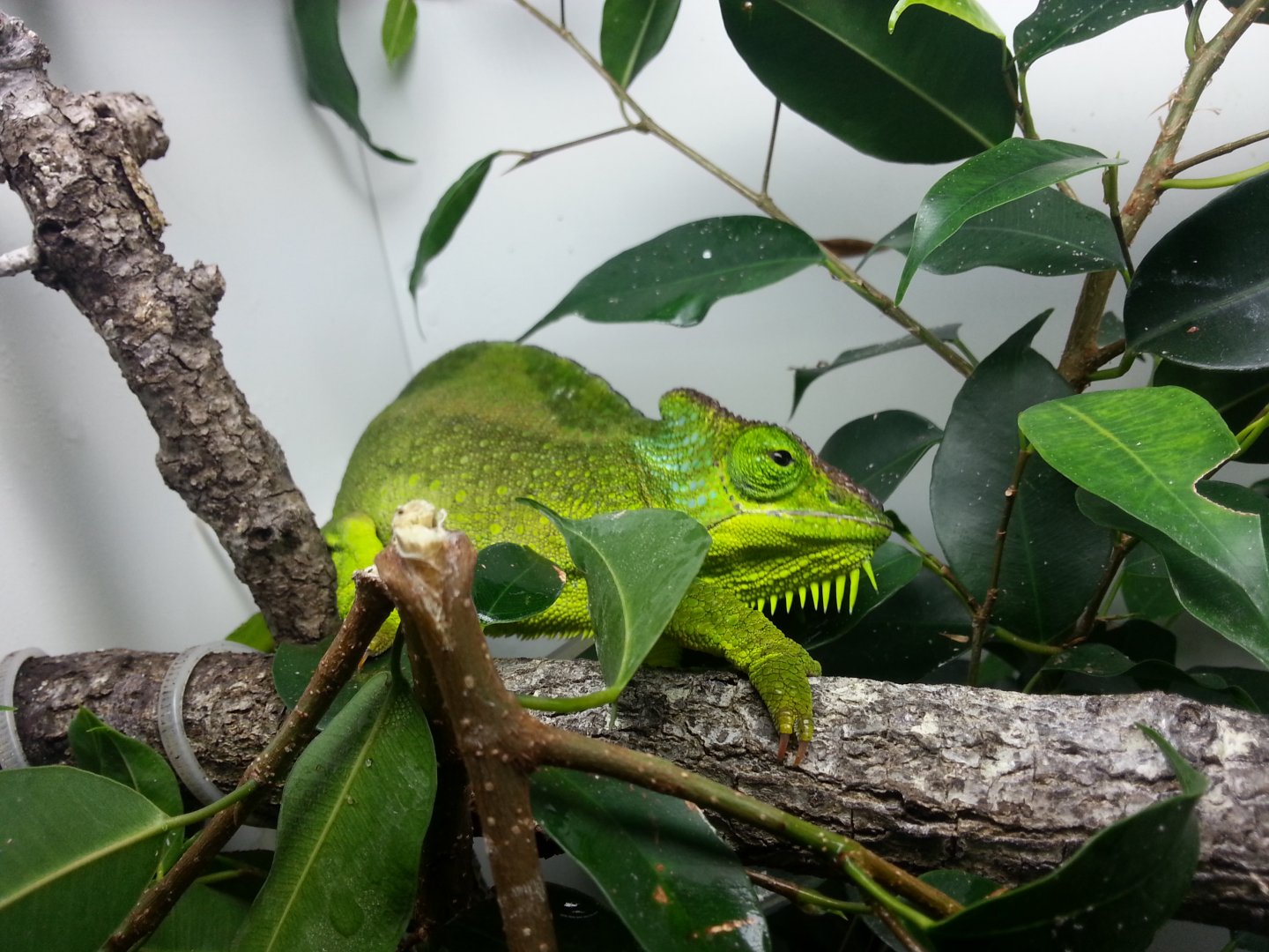 20160130_192613.jpg