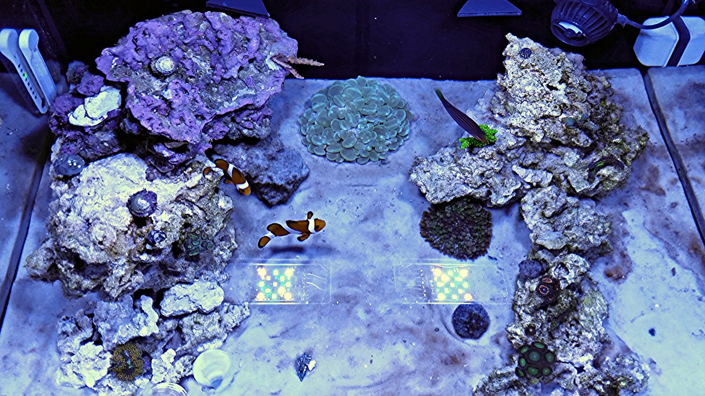 20160131_140056_zpshuw9qzop_edit_1454267320834.jpg