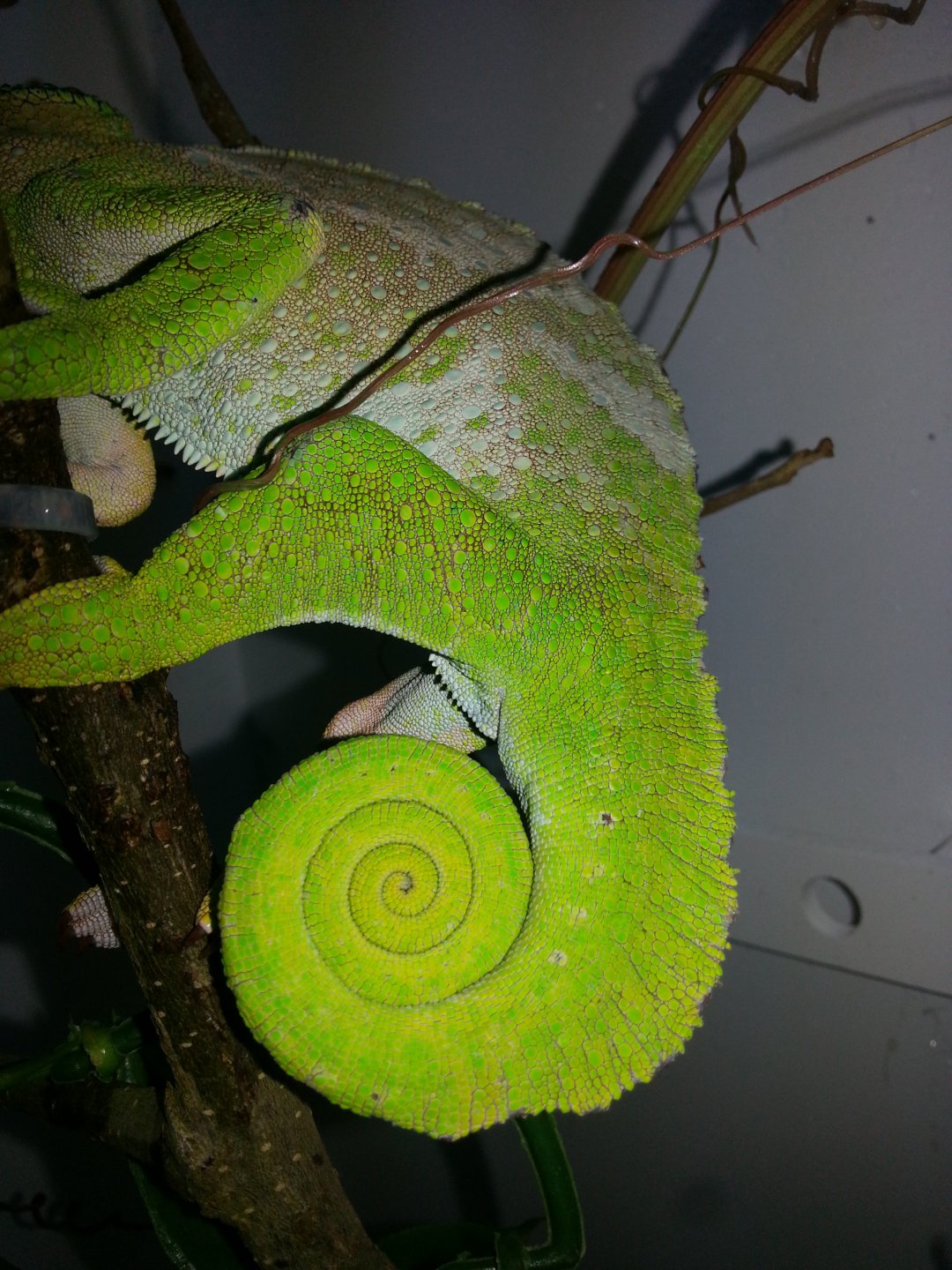 20160202_094925.jpg